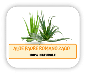 aloe padre romano zago